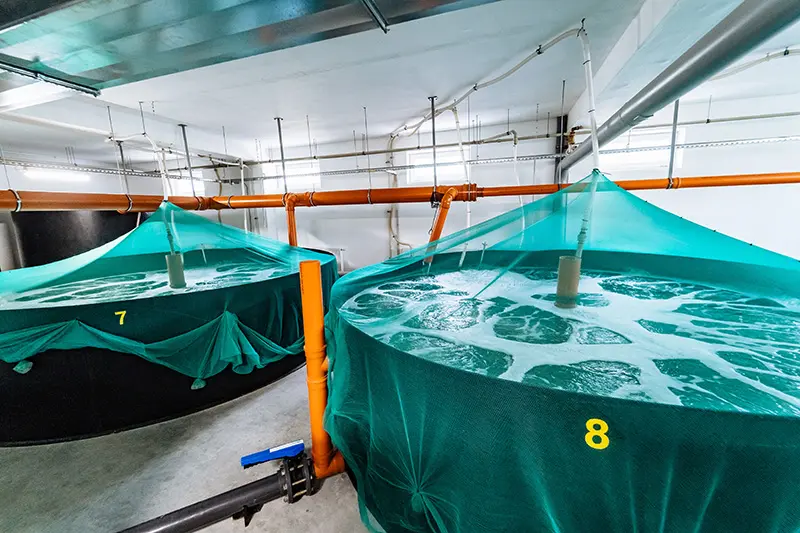 陸上養殖のポンプを三相3線式対応の蓄電池でバックアップ｜奥村組技術研究所 様