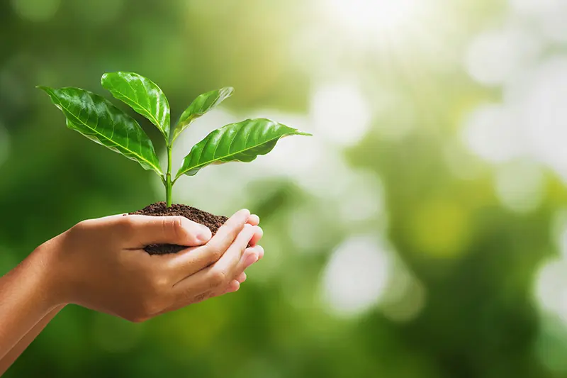 クリーンエネルギーの活用