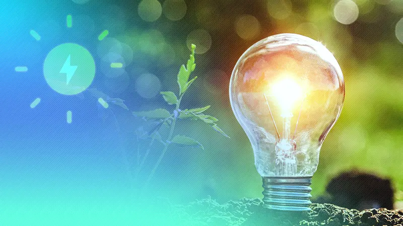 脱炭素化・SDGsの実現に向けた取り組みとして