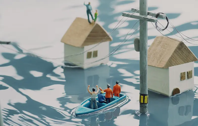 地域の防災体制の整備･連携も不可欠