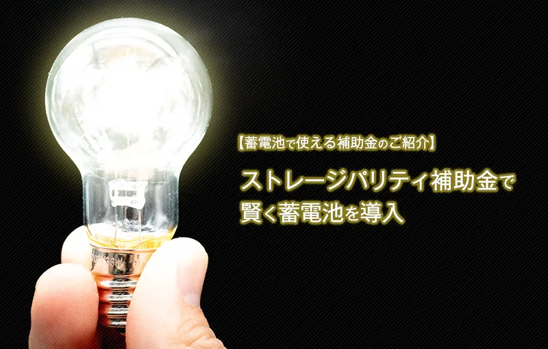 ストレージパリティの達成に向けた太陽光発電設備等の価格低減促進事業